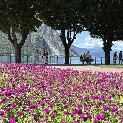 Lungolago di Lecco